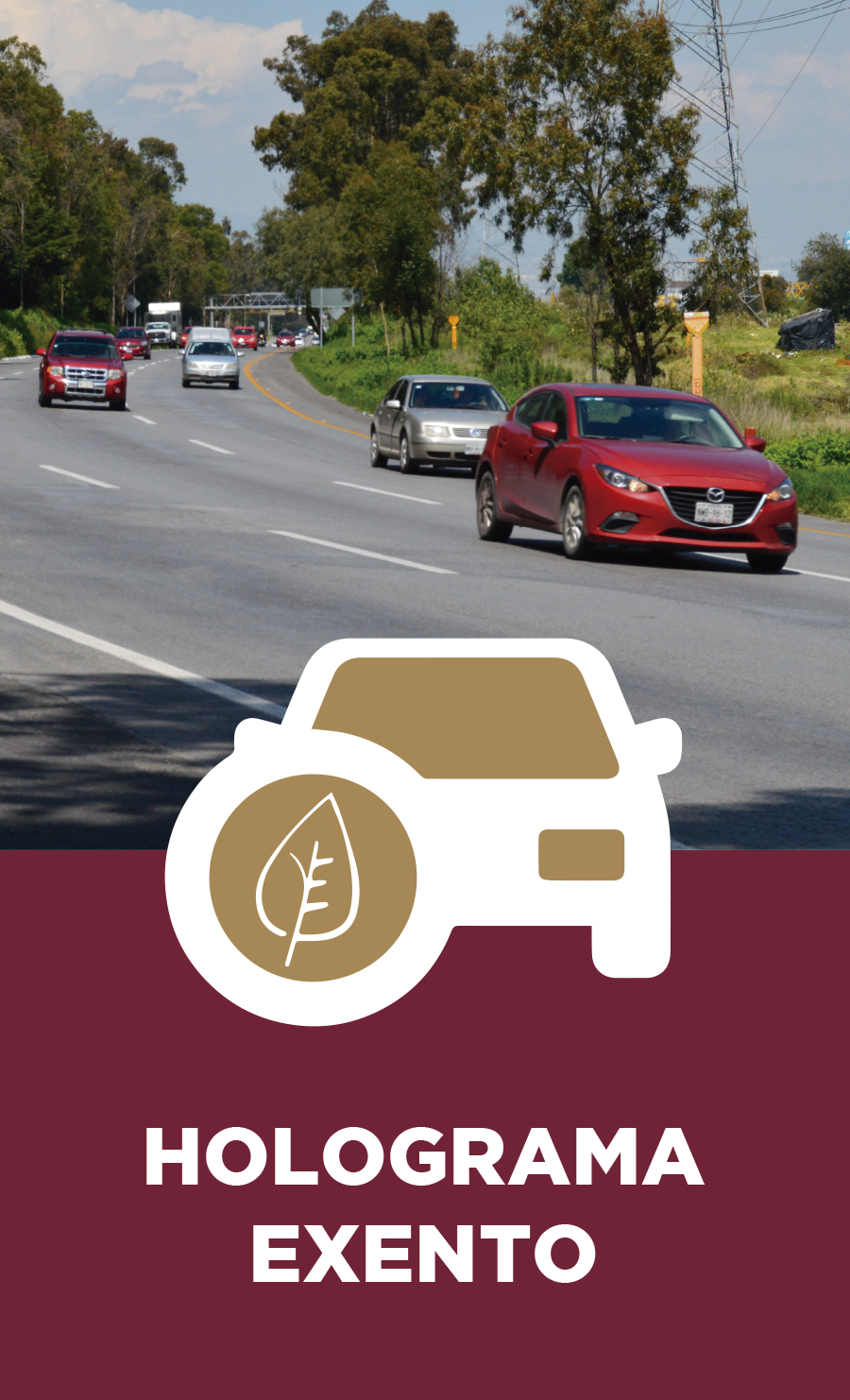 Cita de Verificación