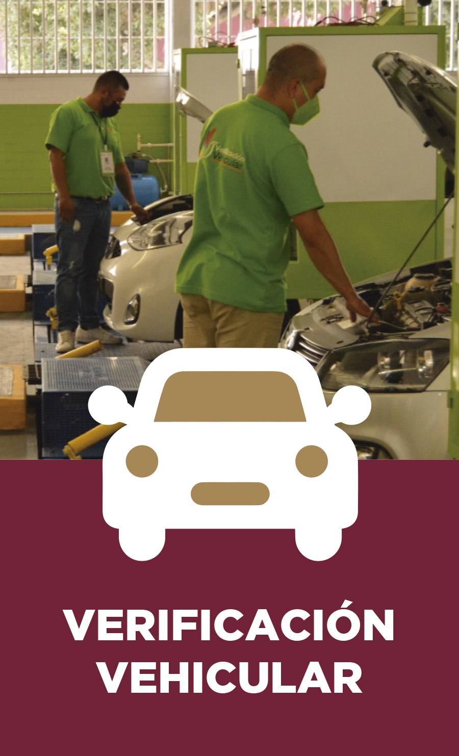 Cita de Verificación